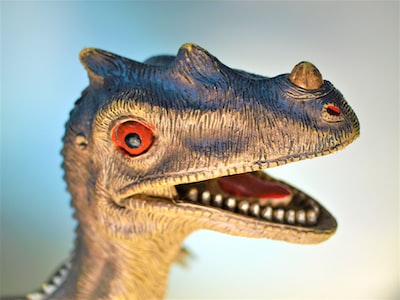 Où trouver de fabuleux articles dinosaures pour tous ?